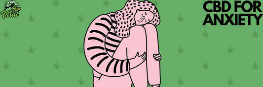 Best strains for anxiety – How Hemp Thrill is useful in daily life?